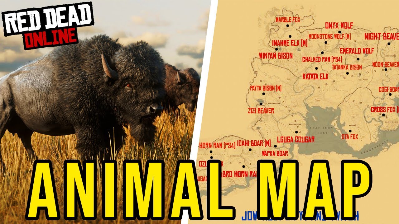 All Red Dead Online Legendary Animal Spawn Locations! (Rdr2 Online) -  Youtube