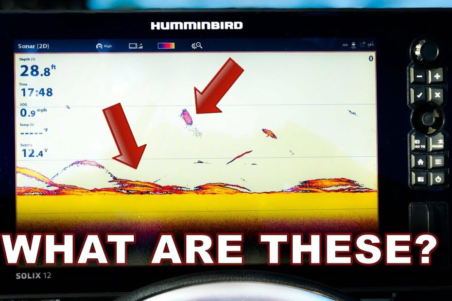 Sonar Basics: How To Find Fish - Youtube