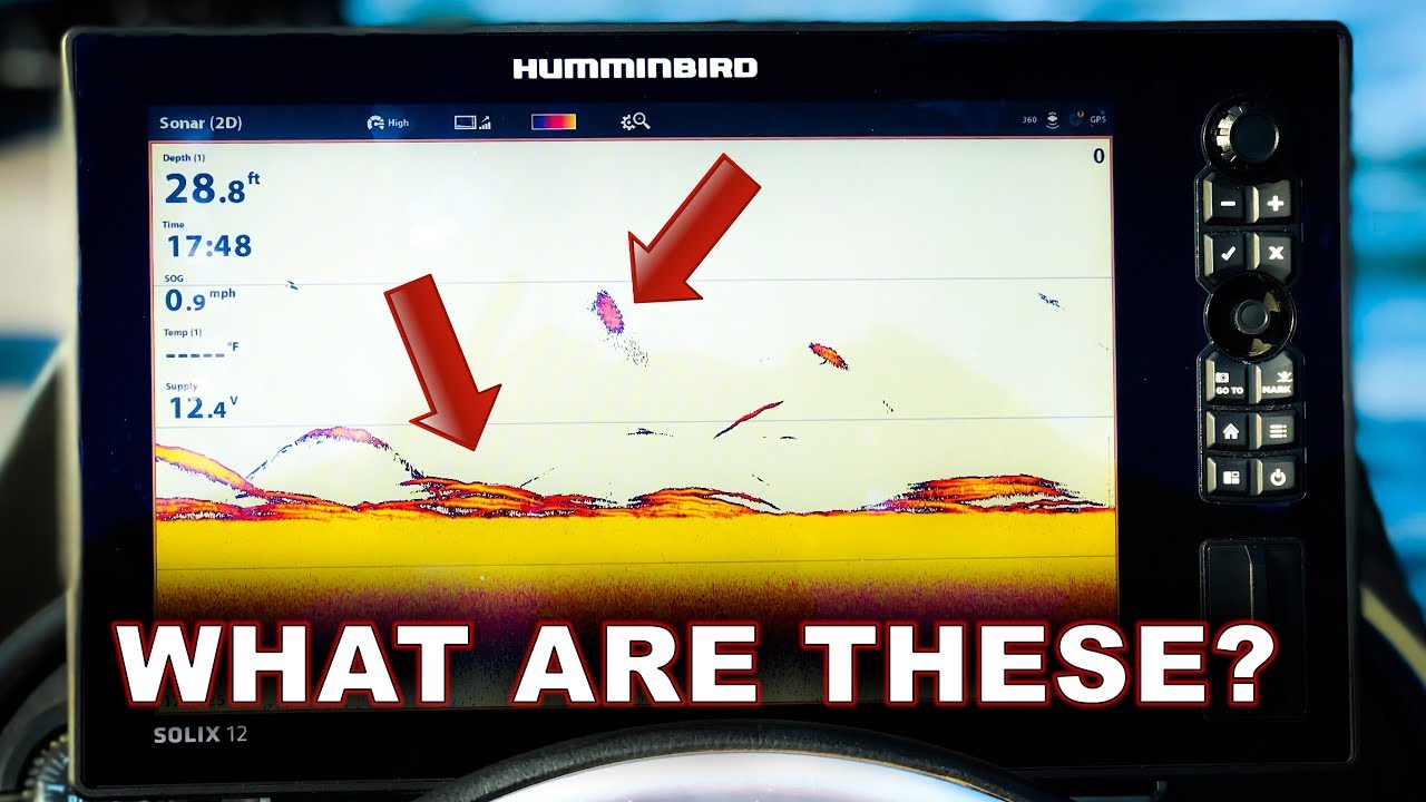 Sonar Basics: How To Find Fish - Youtube