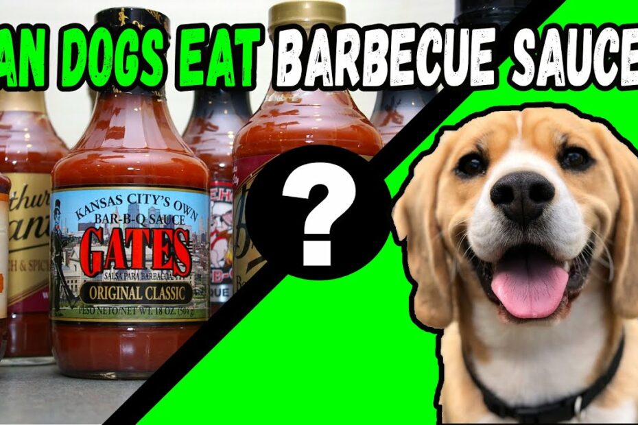 Can Dogs Eat Barbecue Sauce? - Youtube