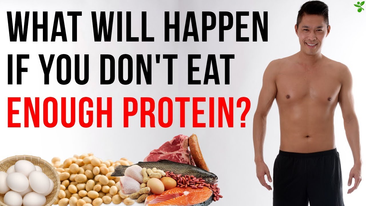 What Will Happen If You Don'T Eat Enough Protein | How Much Protein Is In  Your Diet - Youtube