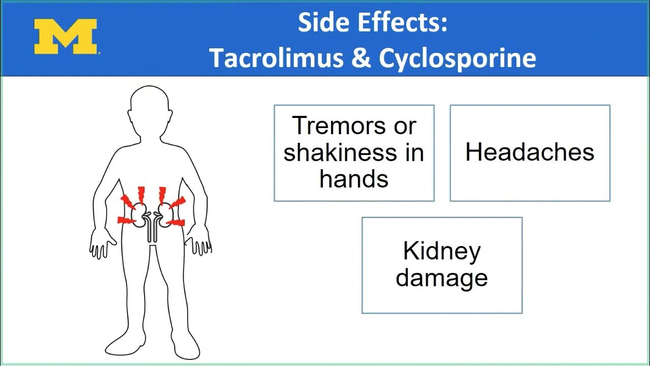 U-M Transplant Center: Medications After Lung Transplantation - Youtube