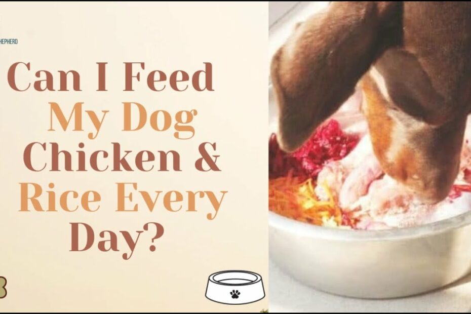 Can I Feed My Dog Chicken & Rice Every Day? - Youtube