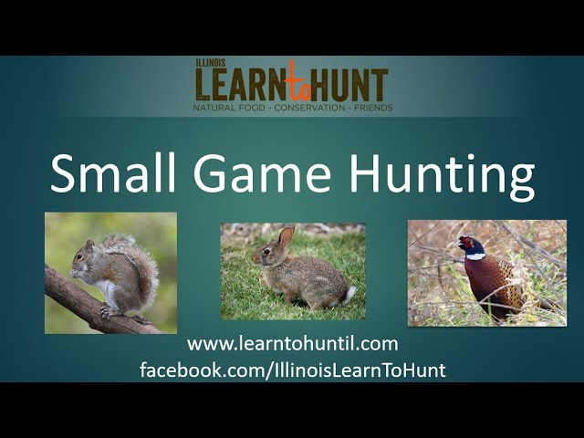 Lth Webinar: Small Game And Upland Hunting 101 - Youtube