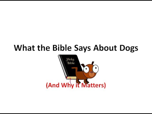 What The Bible Says About Dogs (And Why It Matters) - Youtube