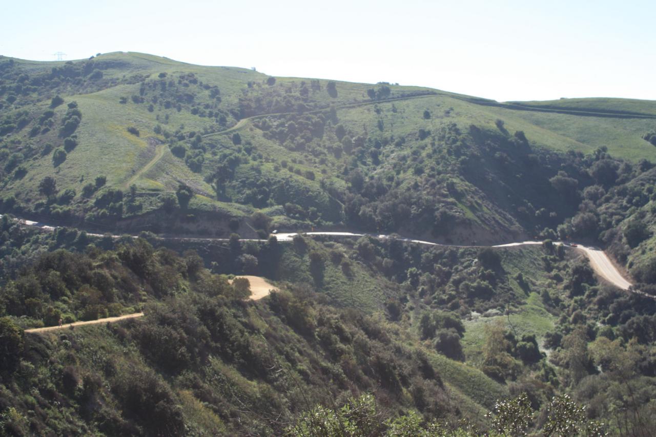 Turnbull Canyon In The Puente Hills | Modern Hiker