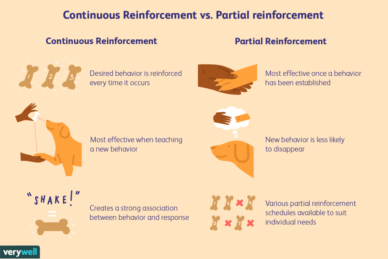 Schedules Of Reinforcement: What They Are And How They Work