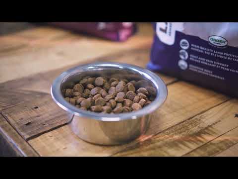 Krokante brok - BF Petfood - Hondenvoeding van Nederlandse bodem