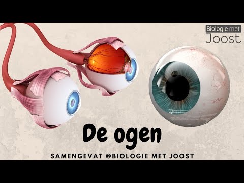 De ogen | Samenvatting