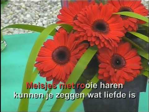 Arne Jansen -  Meisjes met rode haren ( KARAOKE ) Lyrics