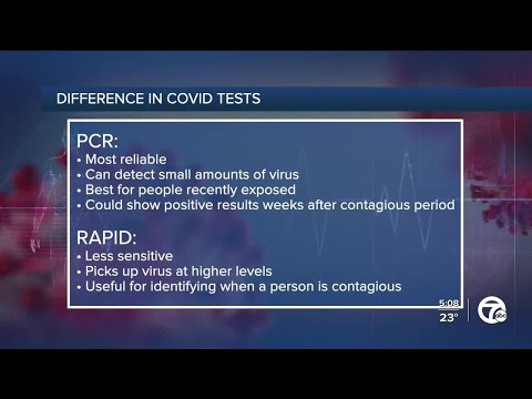 The differences you need to know about PCR and rapid antigen COVID-19 tests