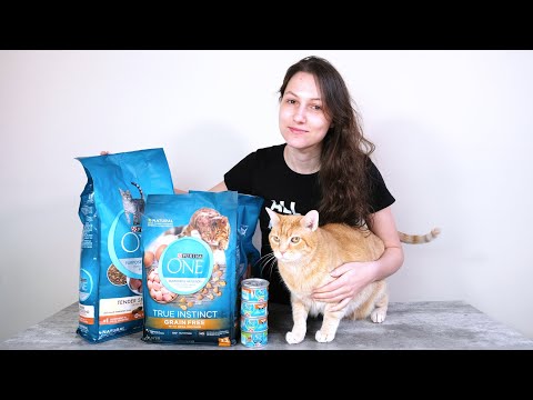 Purina ONE Cat Food Review (We Tried It)