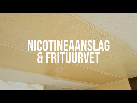 Nicotineaanslag + Frituurvet + Rooklucht verwijderen - Frisse Kater