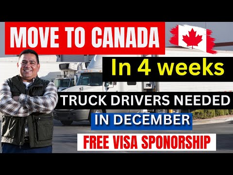 Truck Driving Jobs In Canada With Free Visa Sponsorship In 2023/2024 - Truck driver in Canada