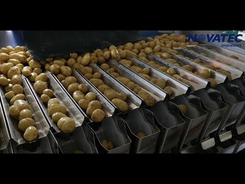 Novatec - Sorting, Weighing & Packing Line For Potatoes