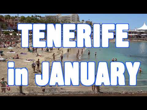 TENERIFE in JANUARY